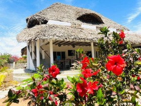 Beba.Beach.House
